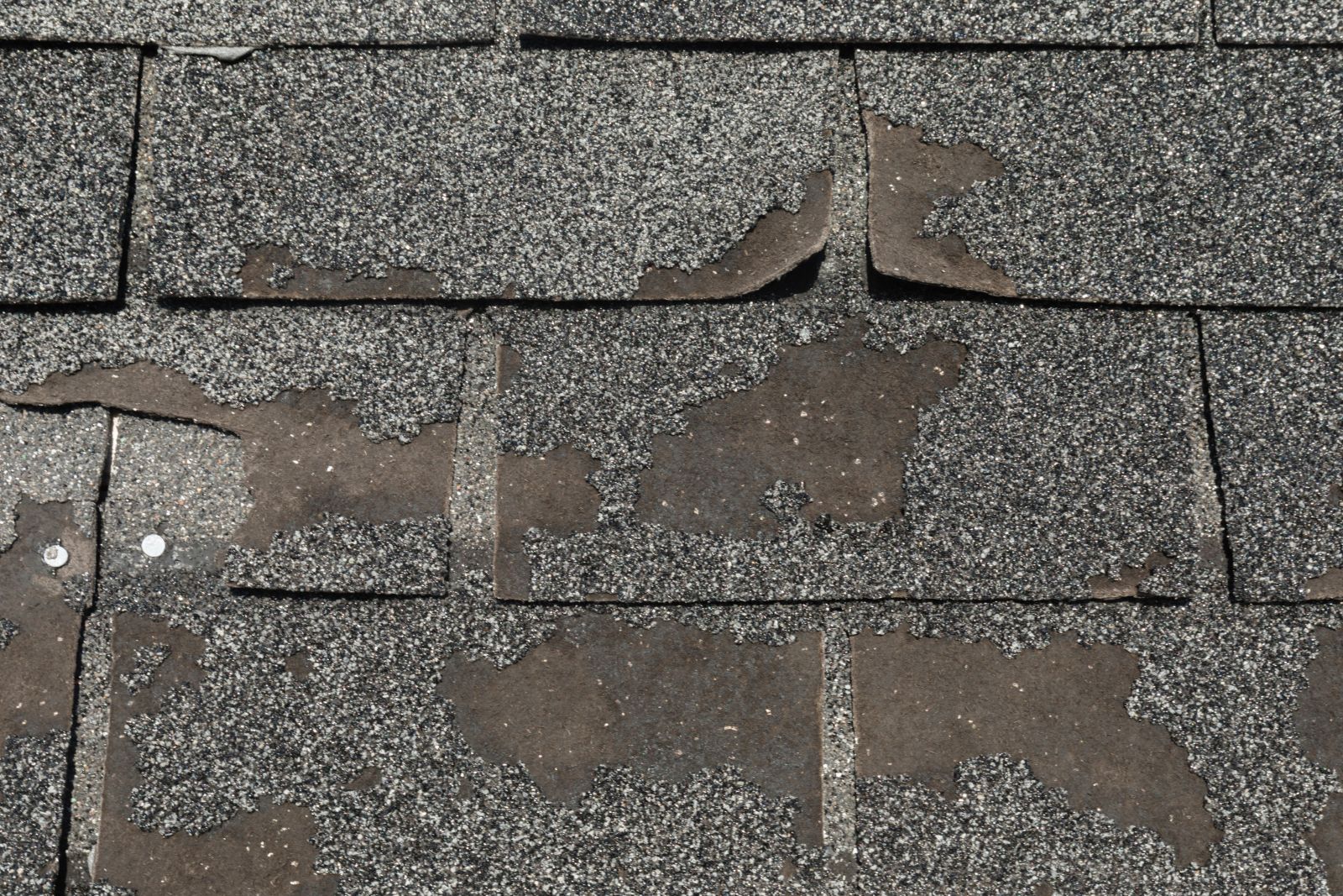 Rebel Exteriors Inc. Images
