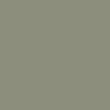 Woodland Green Images