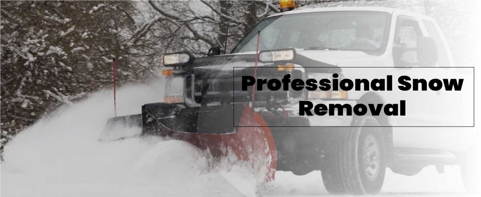 Rebel Exteriors Inc. Images
